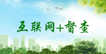 互联网+督查